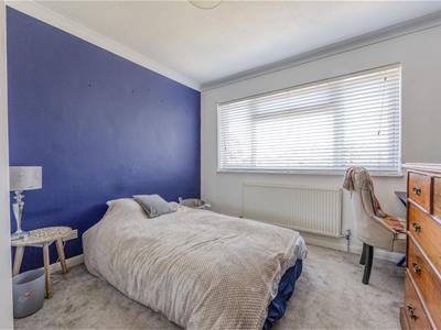 Picture 20